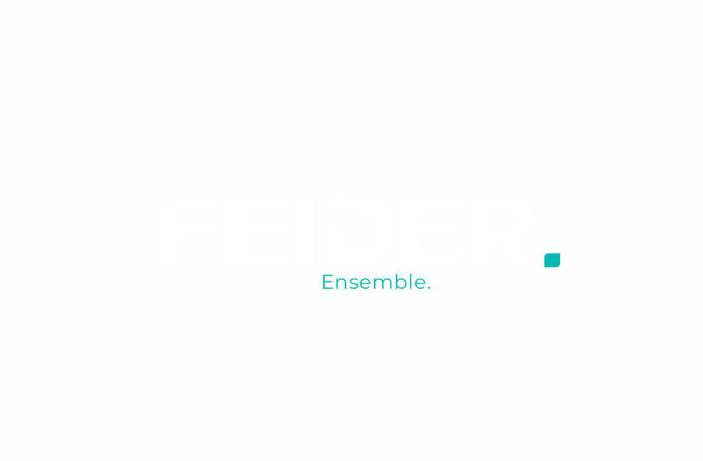 Construction_Logo_FEIDER_final
